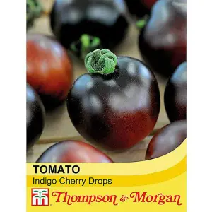 Tomato Indigo Cherry Drops 1 Seed Packet