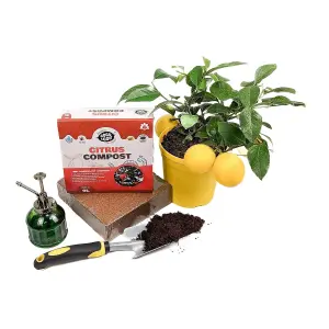 Coco & Coir Citrus Compost Brick Compact Potting Mix Makes 9L Peat Free Soil