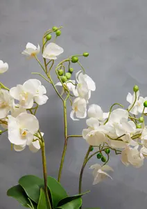 Fiori White Orchid Plant Artificial Plant Foliage