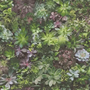 Galerie Evergreen Multicolor Succulents Smooth Wallpaper