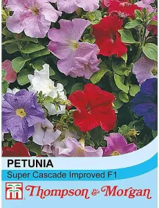 Petunia Super Cascade Improved F1 Hybrid 1 Packet 40 Seeds)