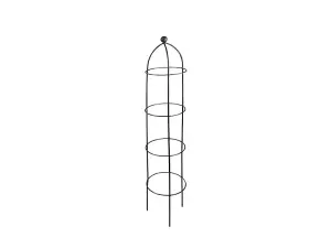 Growing Obelisks Coated in Black - Medium - Single