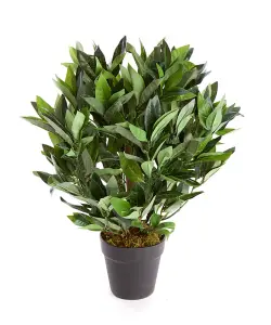 Best Artificial 2ft/50cm Dwarf Bay Tree Potted Laurel Plant for Outdoor Garden