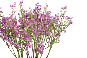 Best Artificial 53cm Gypsophila Flower Spray Bunch (9 pcs) / Pink