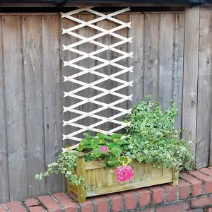 1ft x 6ft Expanding Wooden Garden Trellis - Robust Climbing Plant & Vegetable Support