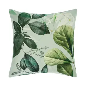 Linen House Glasshouse Botanical 100% Cotton Pillow Sham