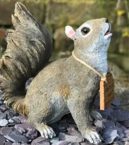 Cheeky Squirrel with removable 'Bird Feeder's Empty' sign garden ornament