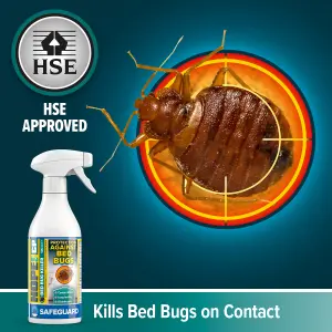 NOPE CP Bed Bug Killer Spray Treatment - 500ml - HSE,  Odourless & Non-Staining for Mattress, Bed Frames, Carpets, Furniture