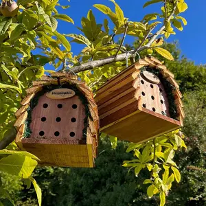 Wooden Hanging Ladybird & Insect House (Set of 2)