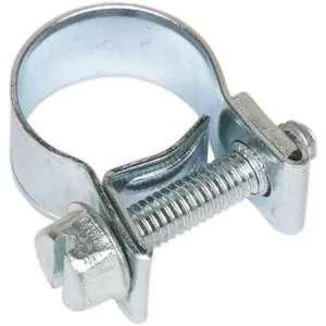 30 PACK Zinc Plated Mini Hose Clip - 12 to 14mm Diameter - Hose Pipe Clip Fixing