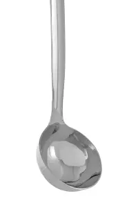 Maison by Premier Hera Shiny Finish Ladle