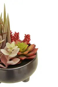 Fiori Mixed Succulents In Grey Ceramic Pot Artificial Plant Foliage