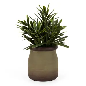 17cm Rosemary Artificial plant in Green Ceramic Pot