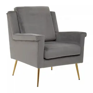 Interiors by Premier Grey Velvet Armchair For Livingroom, Modern Sturdy Armchair, Velvet Upholstered Accent Chair For Reading