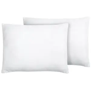 Set of 2 Pillows ERRIGAL Microfibre Low 50 x 60 cm White