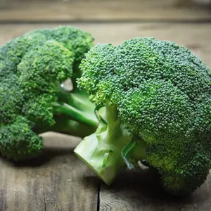 Organic Broccoli Green Sprouting 1 Seed Packet