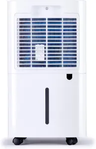 Devola 12L Compressor Dehumidifier, With Dust-Proof Filter - DV12L