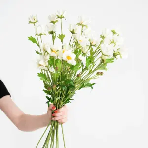 Blooming Artificial - 24-Pack of Artificial Cosmo Flower Stems - Indoor Use