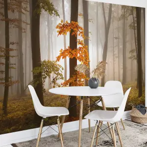 Foggy Autumn Forrest Mural - 384x260cm - 5153-8