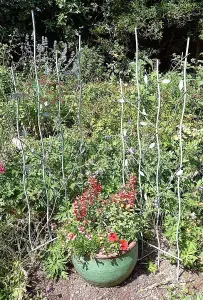 Pair of Verdigris Bird and Leaf Trellis