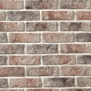 Brick Slip Samples - Cambridge 13