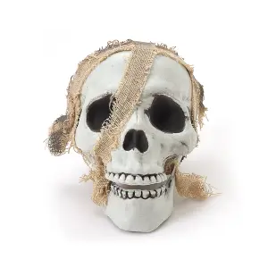 20Pcs Halloween Realistic Skull and Bone Skeleton Decoration Kit