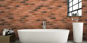 Ibstock Betley Cottage Blend Brick 65mm Mini Pack 250