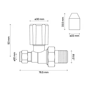 Flomasta Gloss chrome effect Straight Manual Radiator valve, (Dia)10mm, Pack of 1