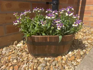 The Satchville Gift Company Wooden Barrels - Trough