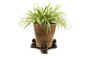 Orangutan Plant Pot Feet - Set of 3 - L10.2 x W7 x H9 cm