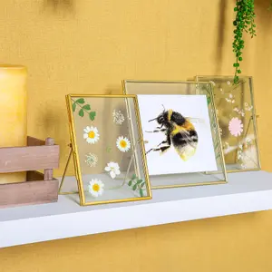 Nicola Spring - Hanging Metal Photo Frames - 8" x 8" - Pack of 2