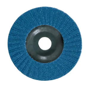 Bosch Professional 60 grit Flap disc (Dia)115mm