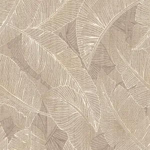 Belgravia Decor Anaya Leaf Textured Wallpaper Taupe