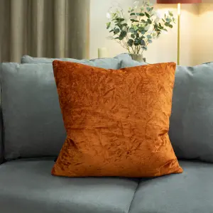 Ashley Wilde Kassaro Velvet Feather Filled Cushion