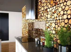 Forest - Natural Birch Wall Panelling