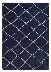 Royal Nomadic 5413 Navy Rug 160 x 230