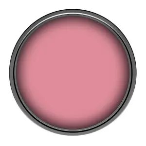 Leyland Trade Vinyl Matt Walls & Ceilings Emulsion Paint Pink Punch (PPG1184-4) 350ml Tester