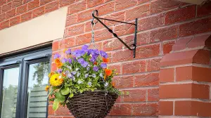 DIVCHI Pack of 1 Garden Hanging Basket Metal Wall Bracket - Twisted  UP to 12" Baskets 12 Inch, Black)