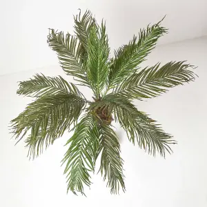 Homescapes Phoenix Palm Tree in Pot, 160 cm Tall