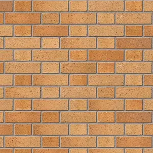 Ibstock Bristol Buff Multi Brick 65mm Mini Pack of 250