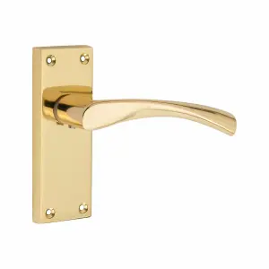 6 Sets Victorian Scroll Astrid handle Polished Brass Finish 120mm x 42mm With 2.5" Latch and 1 Pair of Hinges - Golden Grace