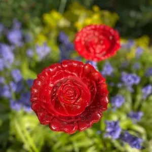 Cast Iron Wild Bird Rose Flower Dish Bird Feeders (Set of 2)