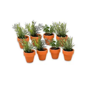 Plain Terracotta Natural Set of 8 Outdoor Garden Herb Flower Plant Pots Small 8cm