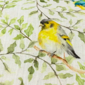 Evans Lichfield Shugborough Birds Traditional Feather Rich Cushion