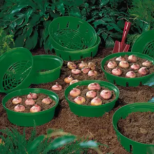 Bulb Planting Basket x 1 - Easy to Use