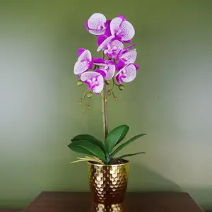 Orchid Artificial Purple White 50cm Gold Pot Phalaenopsis Botanik