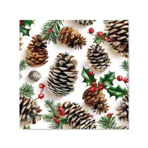 Holiday Pine Cones and Berries Premium Glass Kitchen Splashback W700mm x H750mm