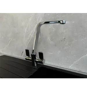 Reginox AMUR Chrome Single Lever Swan Neck Kitchen Mixer Tap