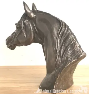 Arab Horse Head figurine in solid cold cast bronze designed by Harriet Glen