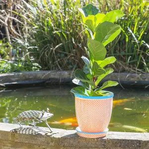 Nicola Spring - Hand-Printed Plant Pot with Saucer - 20.5cm